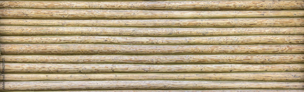 Obraz premium Texture of the house wall from a log house