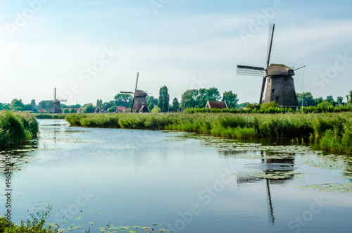 Typical Dutch landscape in Alkmaar  the Netherlands