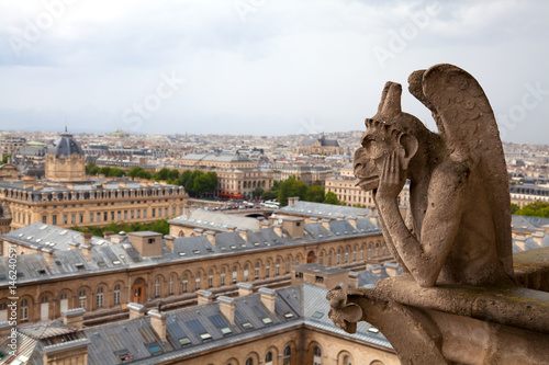 Gargoyle of the Notre Dame cathedral, Paris, France
