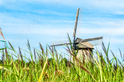 Typical Dutch landscape in Alkmaar  the Netherlands