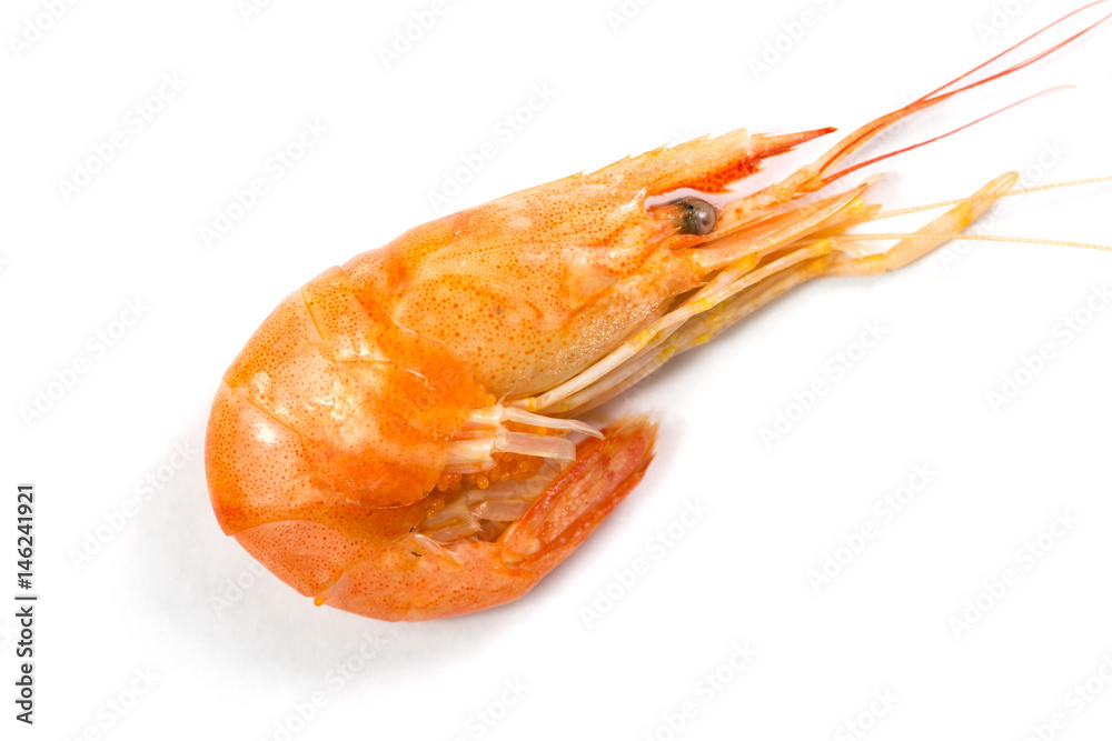 One boiled shrimp isolated on white background One boiled shrimp isolated on white background