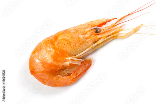 One boiled shrimp isolated on white background photo