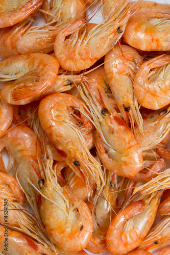 Lot of boiled shrimps closeup