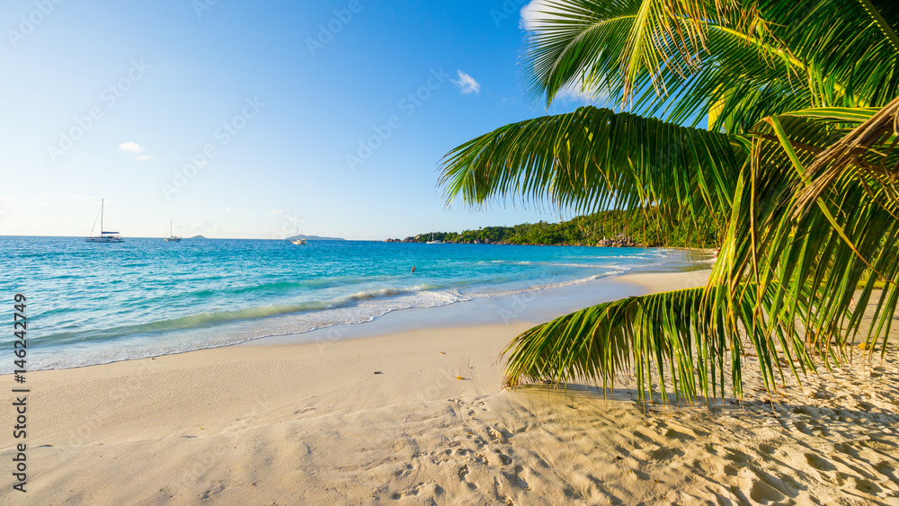 Palmen am tropischen Strand: Anse Lazio, Praslin, Seychellen