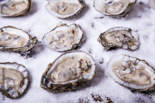 Oysters