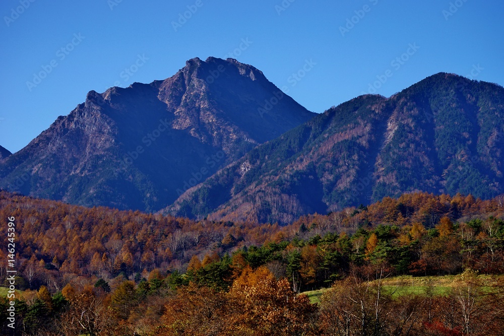 秋の八ヶ岳