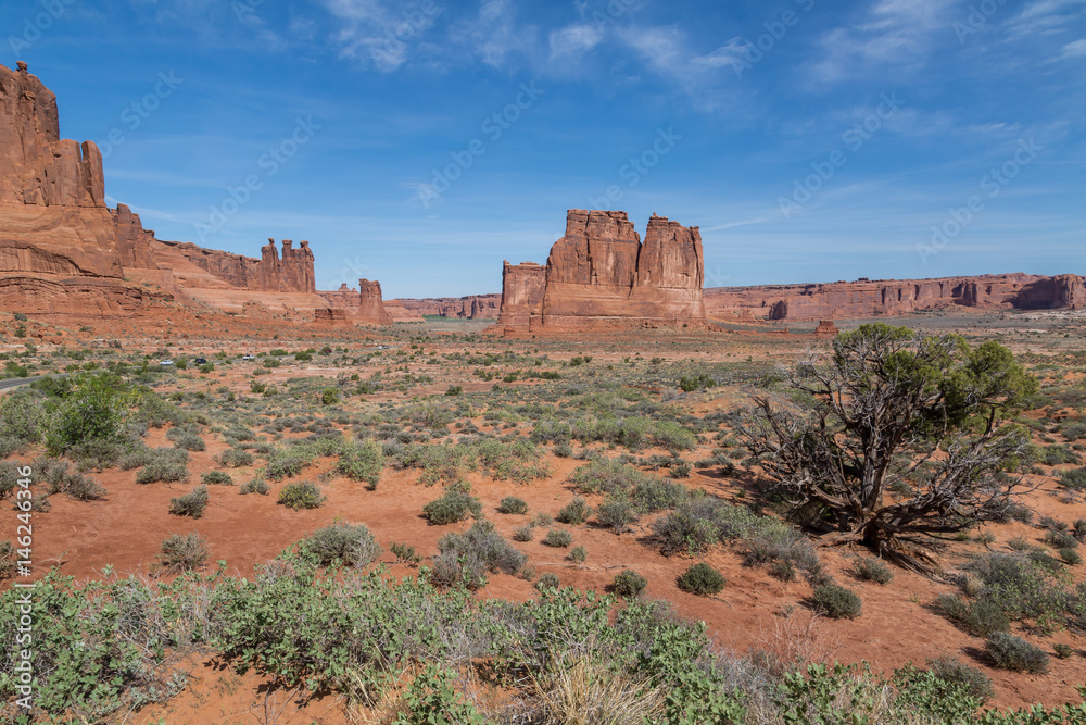 Arches National Park in spring