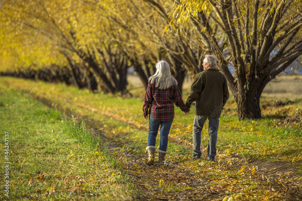 Caucasian couple holding hands near trees in autumn Caucasian couple holding hands near trees in autumn