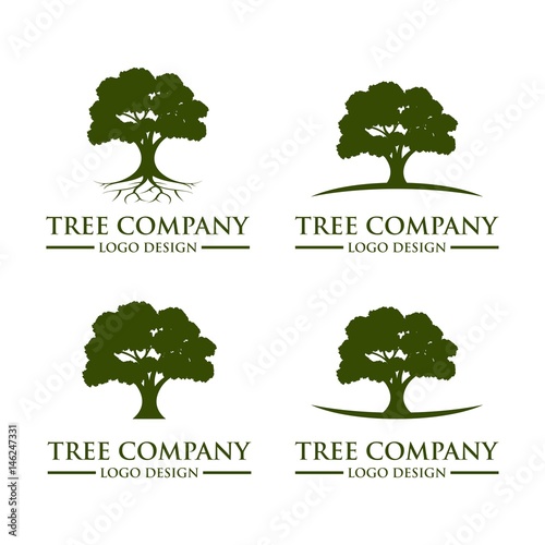 Tree Logo Design Vector Template