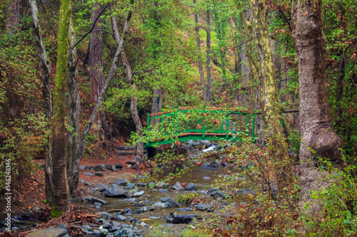 A bridge above a shallow river in a colorful forest. photo