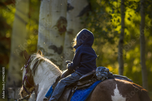 boy riding a horse in the forest 