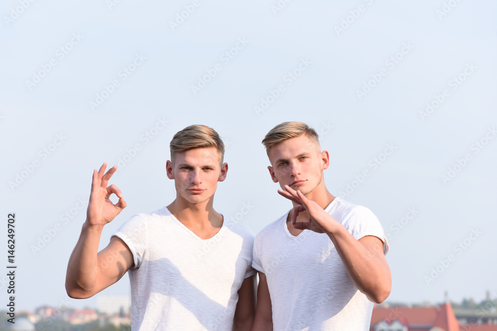 Naklejka premium caucasian twins posing with serious face on sky background