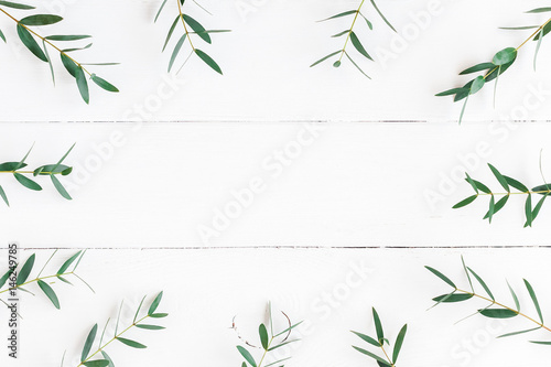 Eucalyptus on wooden white background. Frame made of eucalyptus branches. Flat lay, top view