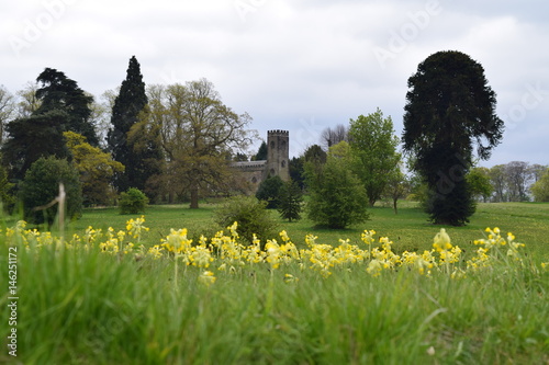 Cowslips and church