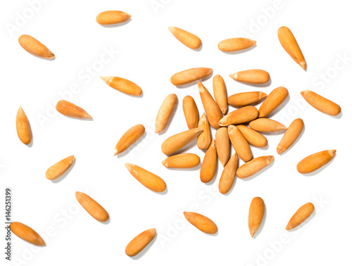 group of pine nuts on white, isolated, top view