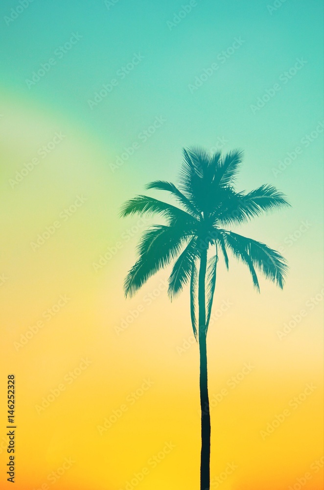 Palm trees in vintage tone Summer concept.