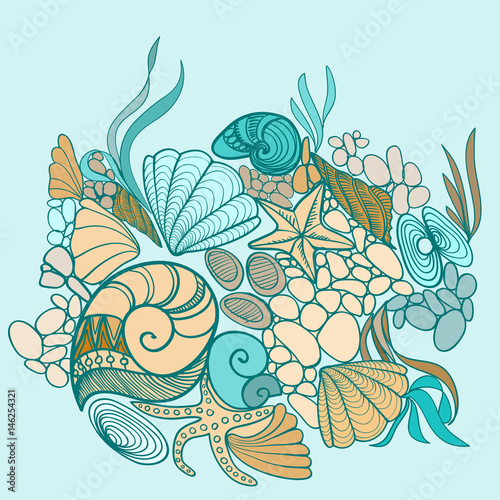 Sea shell background illustration