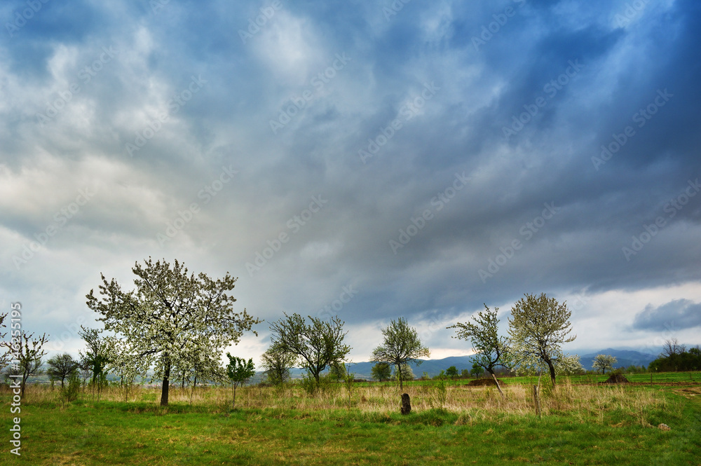 Fototapeta premium Dramatic storm scene in early Spring