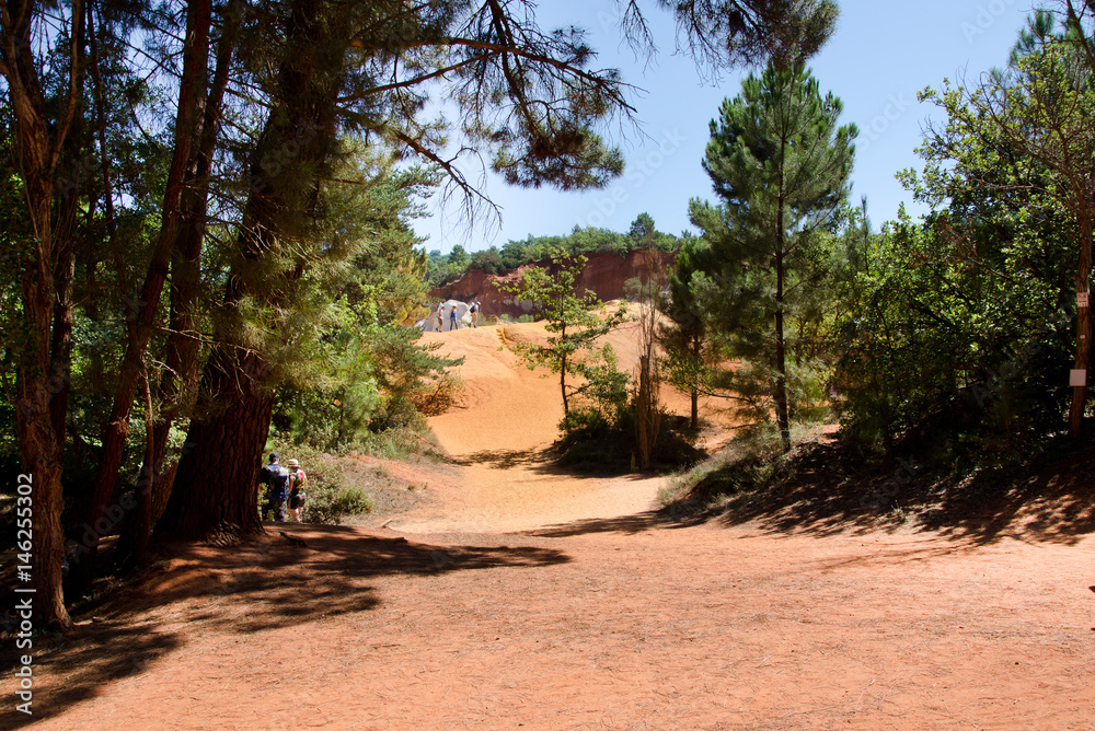 Fototapeta premium the french oak. the french colorado in the luberon