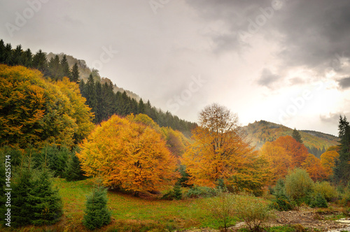 Autumn landscape, cloudy weather. High Dynamic Range picture.
