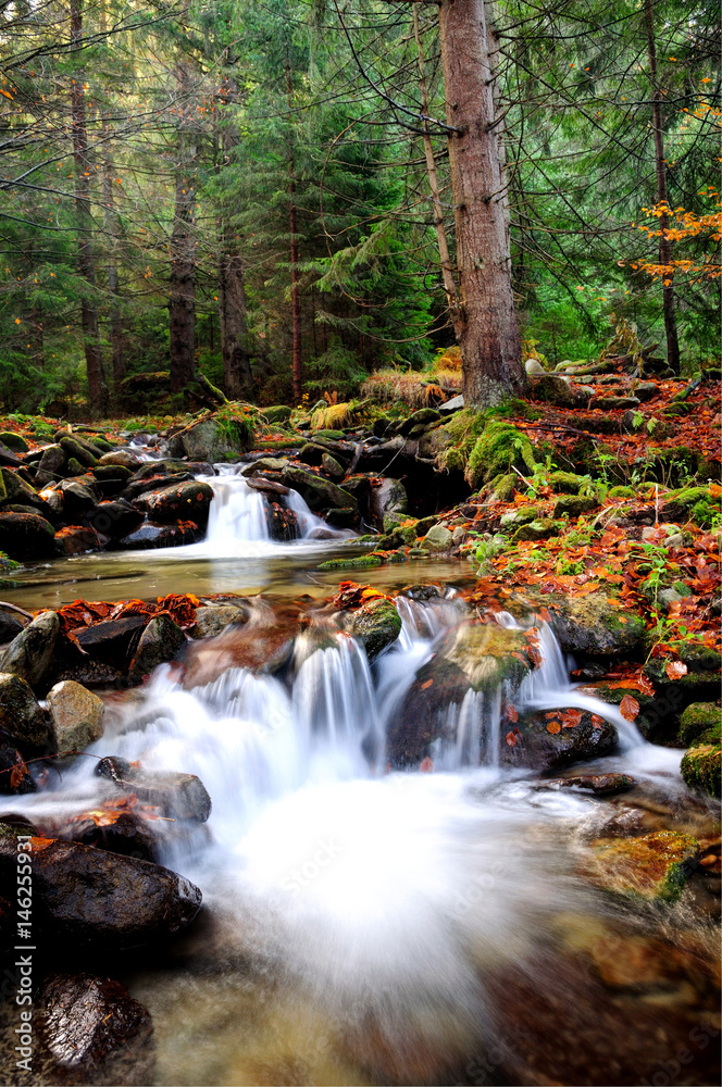 Mountain river cascade in Autumn