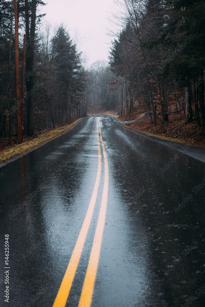 Fototapeta premium Rainy Road 3