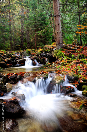 Mountain river cascade in Autumn