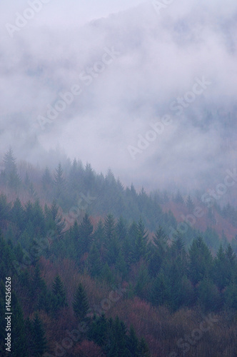 Forested mountain slope in low lying cloud in a scenic landscape view © Mihai