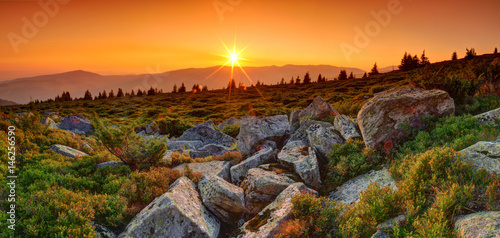Summer landscape in the mountains. Sunrise