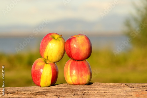 STRIPED APPLES