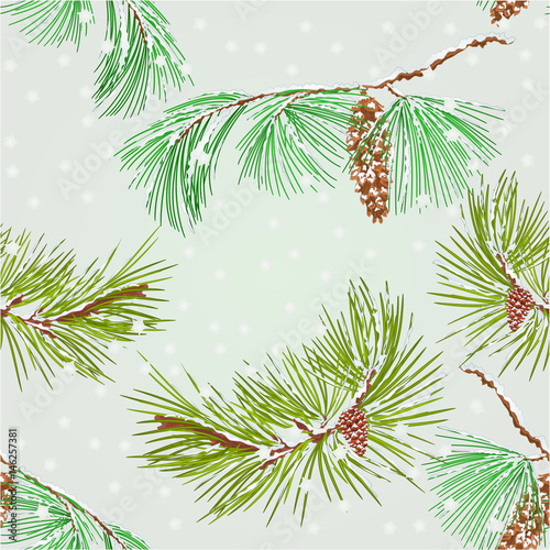 Seamless texture branch pine and Snowflakes natural background vector illustration