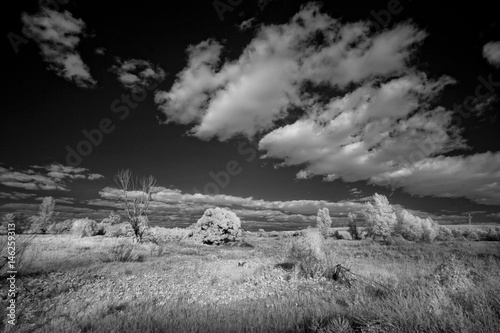 Landscape in infrared light photo