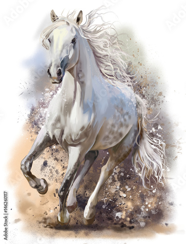 Fotografia White horse runs watercolor painting