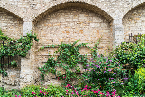 Kletterpflanzen und Blumen verzieren Teilstück einer mittelalterlichen Stadtmauer in Rothenburg ob der Tauber  photo