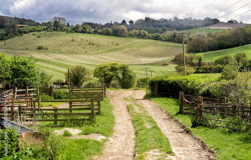 Spring Landscape in the Chiltern Hills in England with Farm track between fields