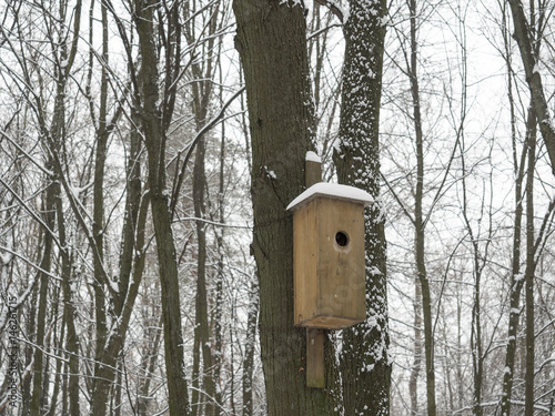 birdhouse in winter