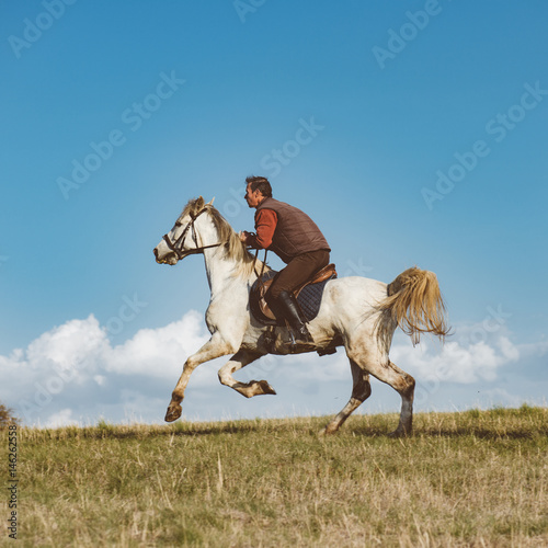 Horse sport, cowboy riding on horse