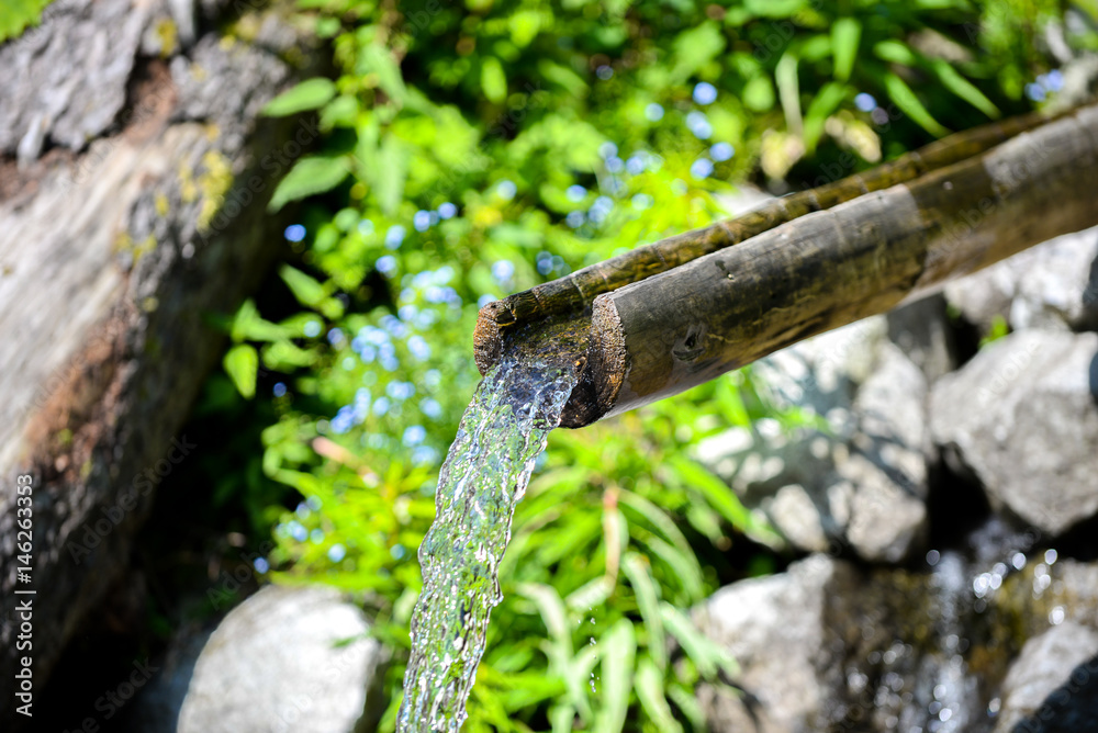 Wooden Channel For Water at a Spring in The Mountains Wooden Channel For Water at a Spring in The Mountains
