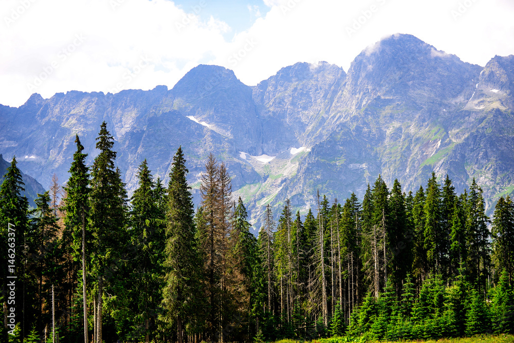View of Mountain Peaks in Summer Time in High Tatras