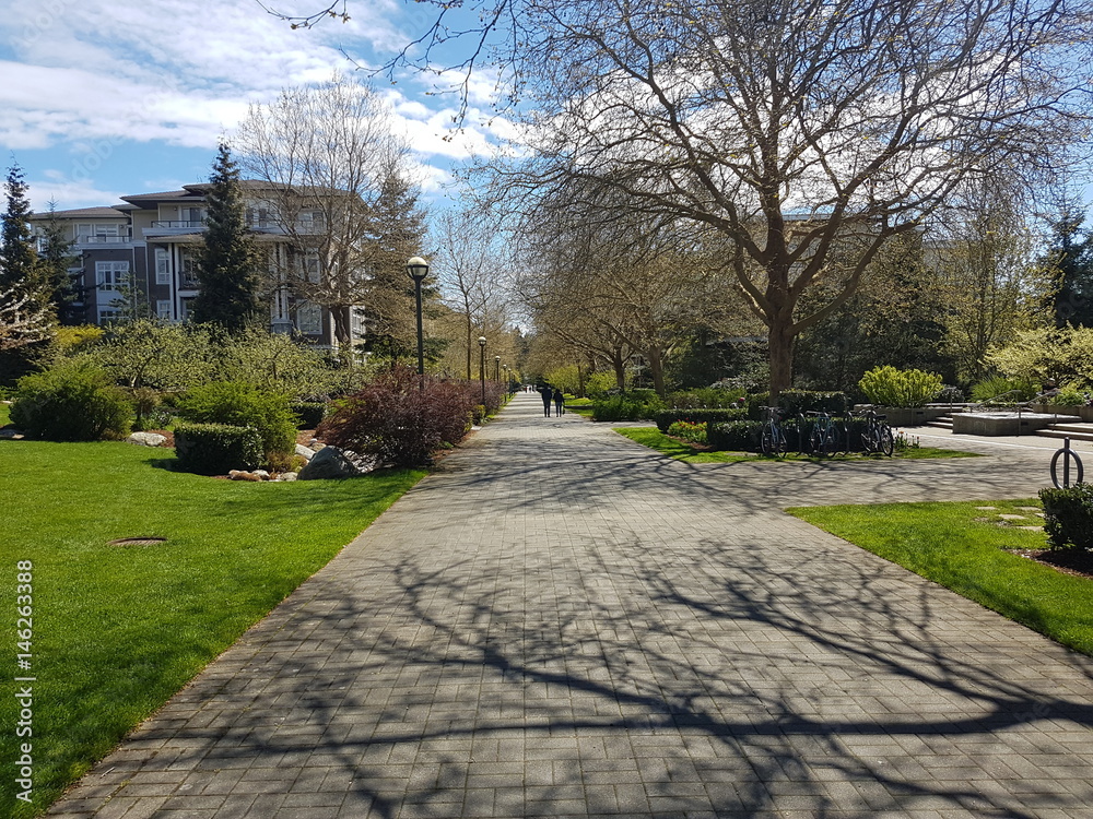 Walk under the sun Walk under the sun