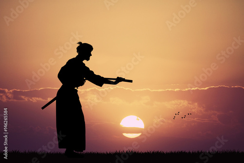 Aikido demonstration at sunset