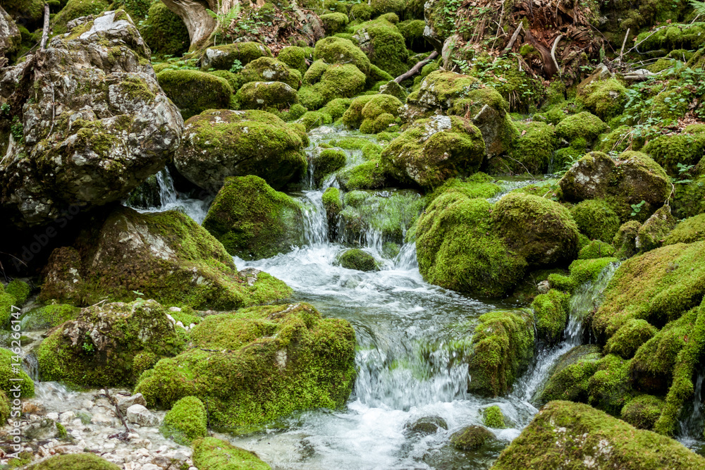 creek between stones covered with green moss creek between stones covered with green moss