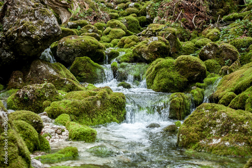 creek between stones covered with green moss