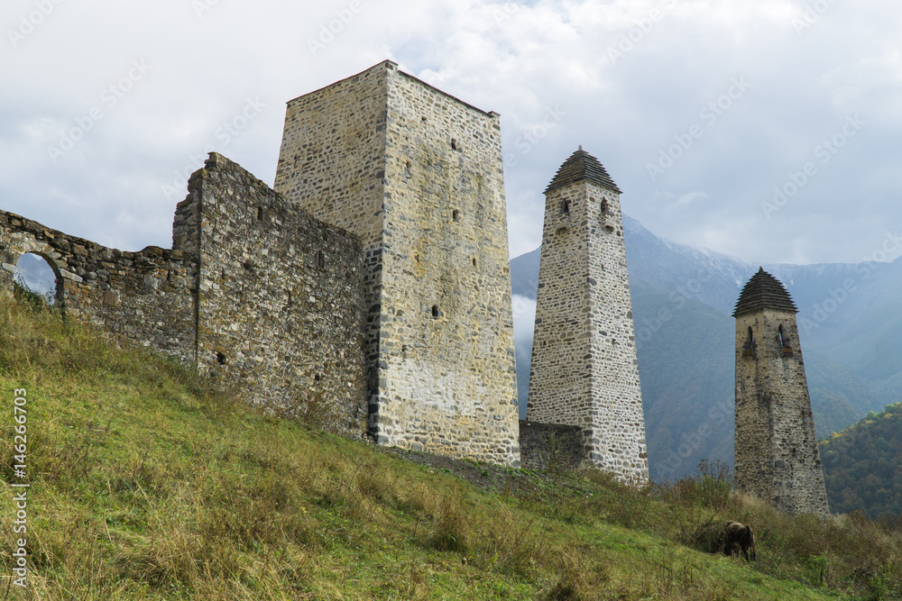 Battle towers Erzi in the Jeyrah gorge, Republic of Ingushetia