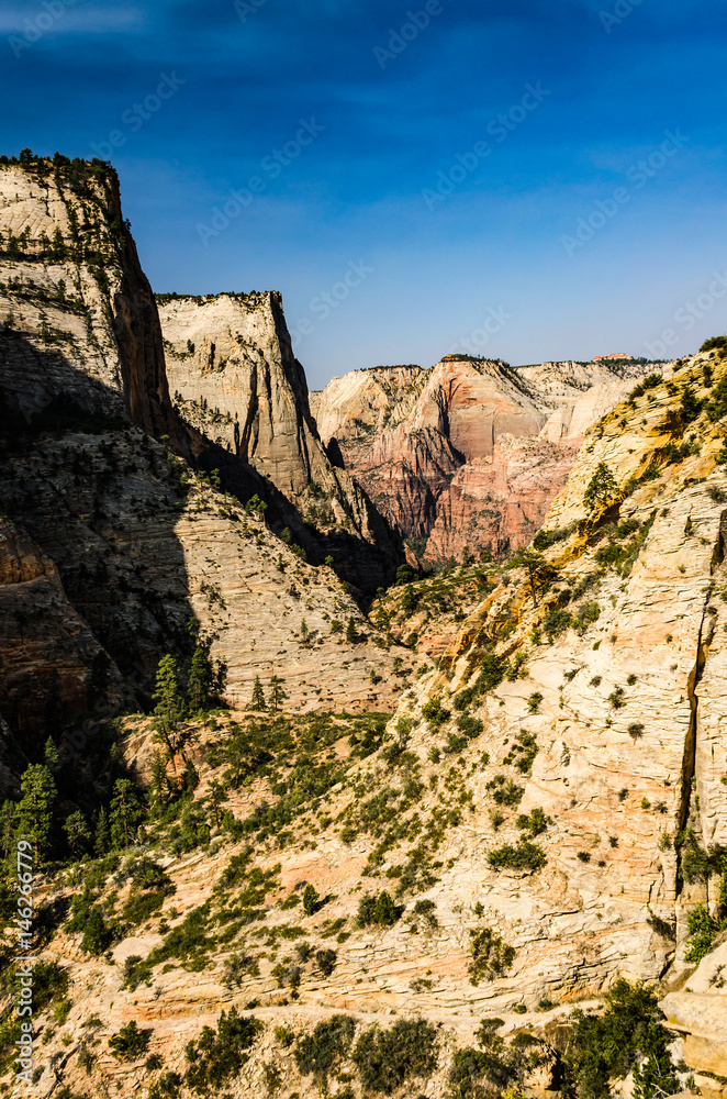 Viewpoint of Zion National Park cliff