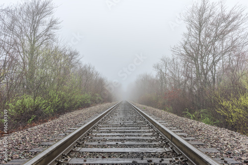 Spring time railroad tracks