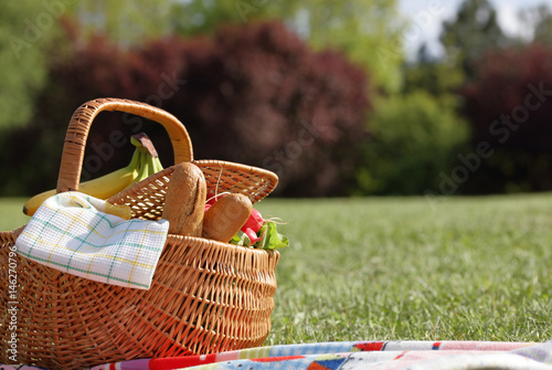 Fototapeta Naklejka Na Ścianę i Meble -  Picnic basket with healthy food and blanket on green grass in park, nature. Lunch break outdoors , Time for relax, Leisure Lifestyle Concept
