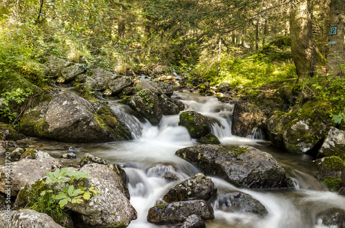 stream of water, view of a small river on the mountain alps