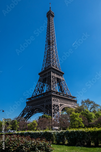 Fototapeta Naklejka Na Ścianę i Meble -  Tour Eiffel (Eiffel Tower), Champ de Mars in Paris, France.