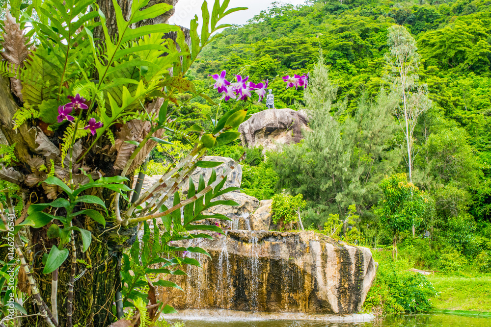 Purple orchid on a tree in a tropical park near lake with waterfall, Vietnam, Orchid Island
